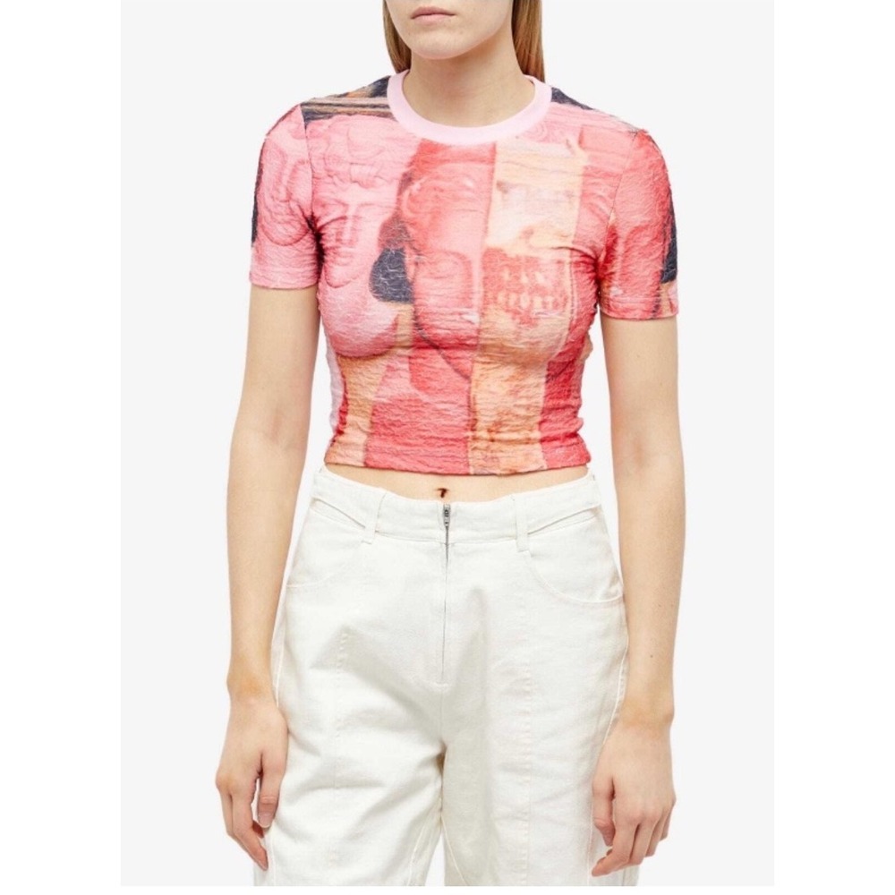 Andersson Bell David Chiffon Crinkle Pink Graphic Crop T-Shirt atb967w_PINK M